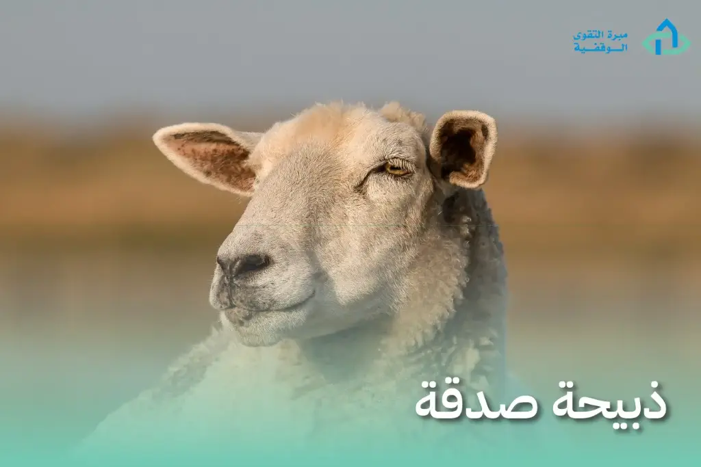  الصدقة (ذبيحة)