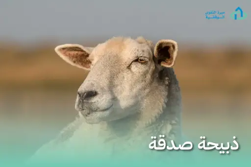  الصدقة (ذبيحة)